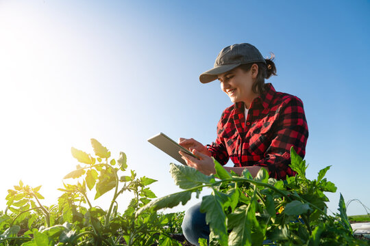 Screenshot of Agriculture Helper web application